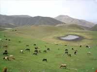 روستای خان‌کندی