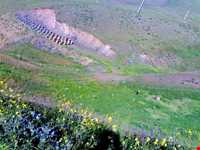 روستای خان‌کندی