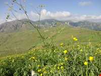 روستای خان‌کندی