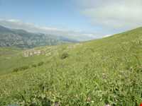 روستای خان‌کندی