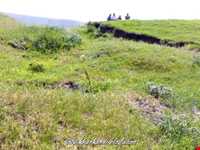 روستای خان‌کندی