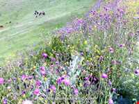 روستای خان‌کندی