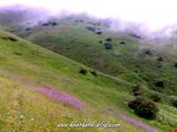 روستای خان‌کندی