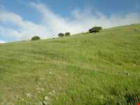 روستای خان‌کندی