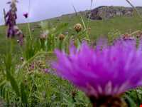 روستای خان‌کندی