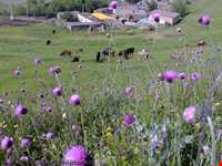 روستای خان‌کندی