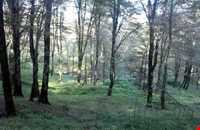 Protected area of Khiboos and Anjilsi