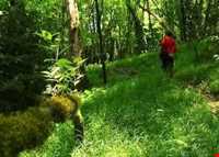 Protected area of Khiboos and Anjilsi