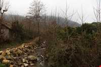 چشمه فکجور دمکش