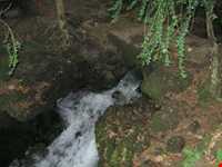 چشمه فکجور دمکش