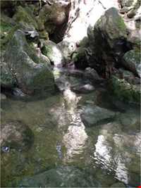 چشمه فکجور دمکش