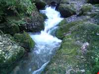 چشمه فکجور دمکش