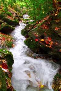 چشمه فکجور دمکش