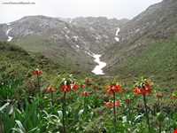 Golestan mountain ( Golestan Kooh )