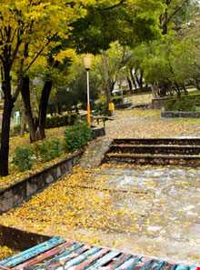 پارک ملی سرچشمه