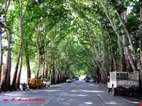 پارک ملی سرچشمه