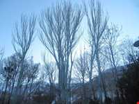 پارک ملی سرچشمه