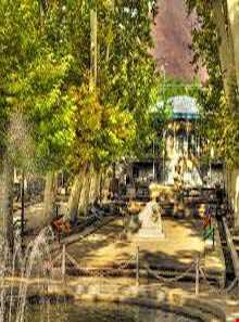 پارک جنگلی سیفیه یا باغ سیف الدوله