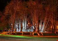 پارک جنگلی سیفیه یا باغ سیف الدوله