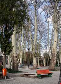 پارک جنگلی سیفیه یا باغ سیف الدوله