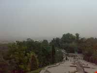 پارک جنگلی سیفیه یا باغ سیف الدوله