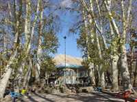 پارک جنگلی سیفیه یا باغ سیف الدوله