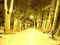 پارک جنگلی سیفیه یا باغ سیف الدوله