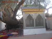 Bibi Doust shrine