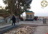 Bibi Doust shrine