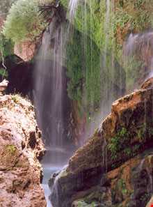 Naz Vanak Spring ( Cheshmeh Naz Vanak )