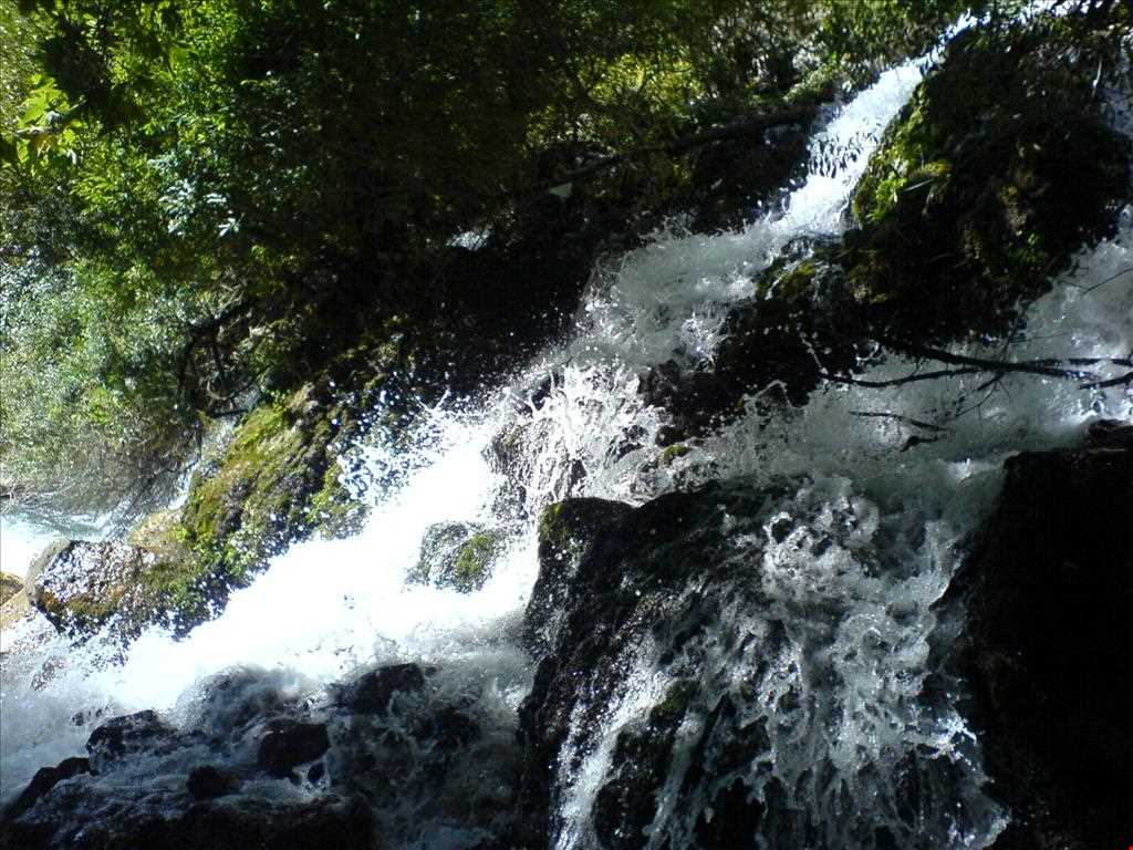 چشمه ناز ونک