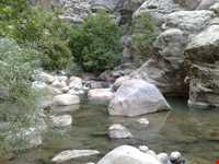 چشمه ناز ونک