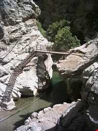 چشمه ناز ونک