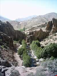 چشمه ناز ونک