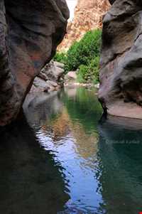 چشمه ناز ونک