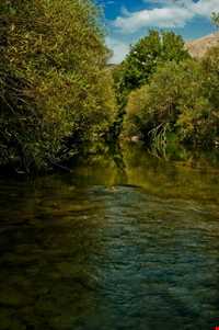 چشمه ناز ونک