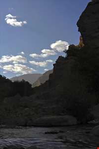 چشمه ناز ونک