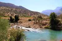 چشمه ناز ونک