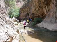 چشمه ناز ونک