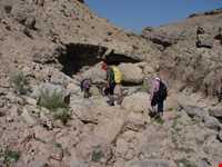 چشمه ناز ونک