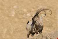 Protected area of Khang Ramz