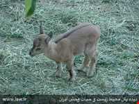 Protected area of Khang Ramz