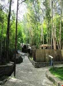 پارک  کمربسته