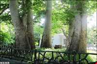 پارک  کمربسته