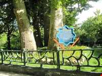 پارک  کمربسته