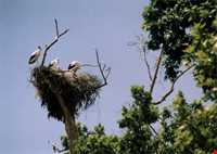 تفرجگاه ییلاقی خوران ( دهکده توریستی خوران )