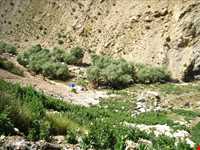 آبشار پونه زار