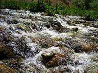 آبشار پونه زار