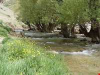 آبشار پونه زار