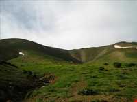 دشت لاله‌های واژگون فریدونشهر